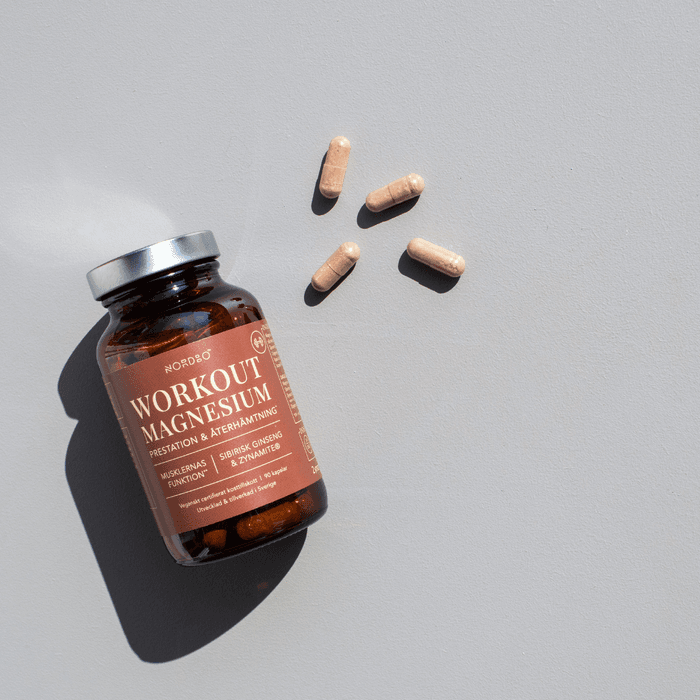 NORDBO Workout Magnesium